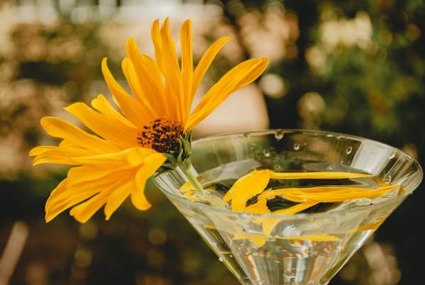 Découvrez le vase martini pas cher pour embellir votre déco